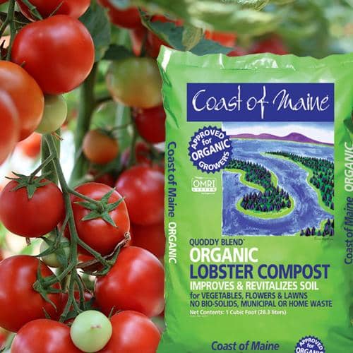 Coast Of Maine Quoddy Blend Lobster Compost | Gilford Hardware