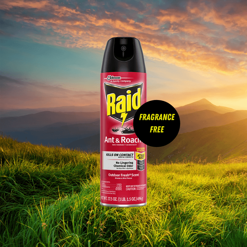 RAID Ant & Roach Killer Spray 17.5 oz. | Gilford Hardware 