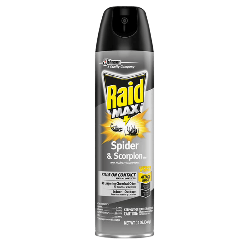 Raid MAX Scorpion & Spider Killer 12 oz. | Insect Killer | Gilford Hardware & Outdoor Power Equipment