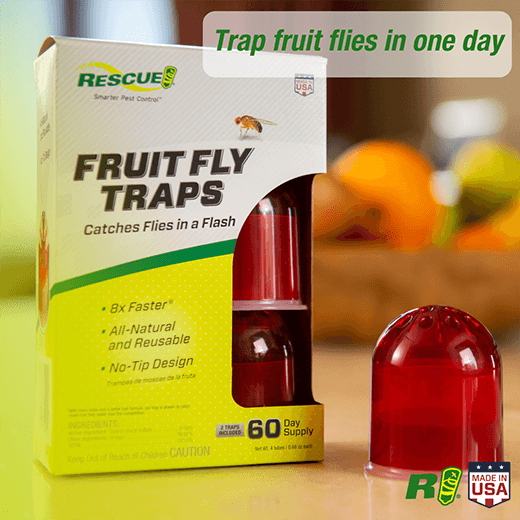 RESCUE Fruit Fly Trap 2-Pack | Fruit Fly Trap | Gilford Hardware & Outdoor Power Equipment