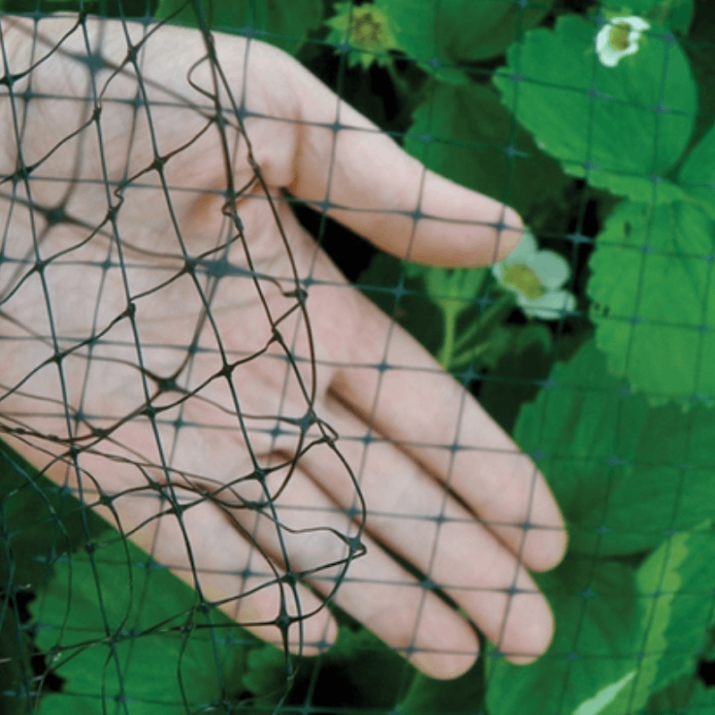Ross Garden Netting 14' x 14" | Gilford Hardware