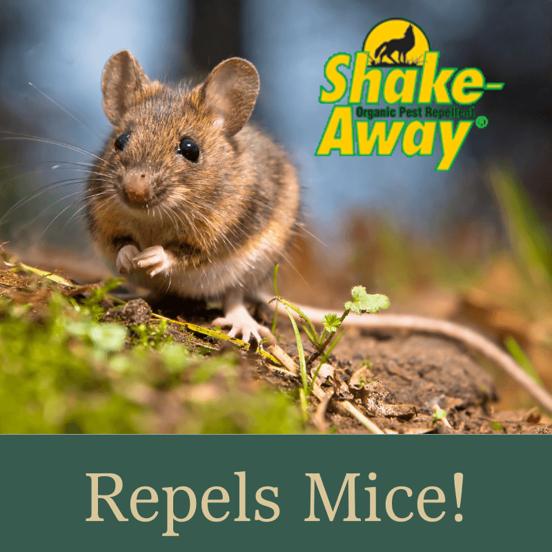 Shake-Away Rodent Repellent Granules 28.5 oz. | Gilford Hardware