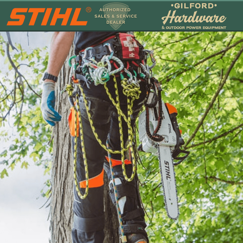 STIHL MS 201 T C-M Tree Chainsaw 14" Bar | Chainsaw | Gilford Hardware & Outdoor Power Equipment