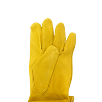 Thumbnail for STIHL Landscaper Series Gloves | Gilford Hardware