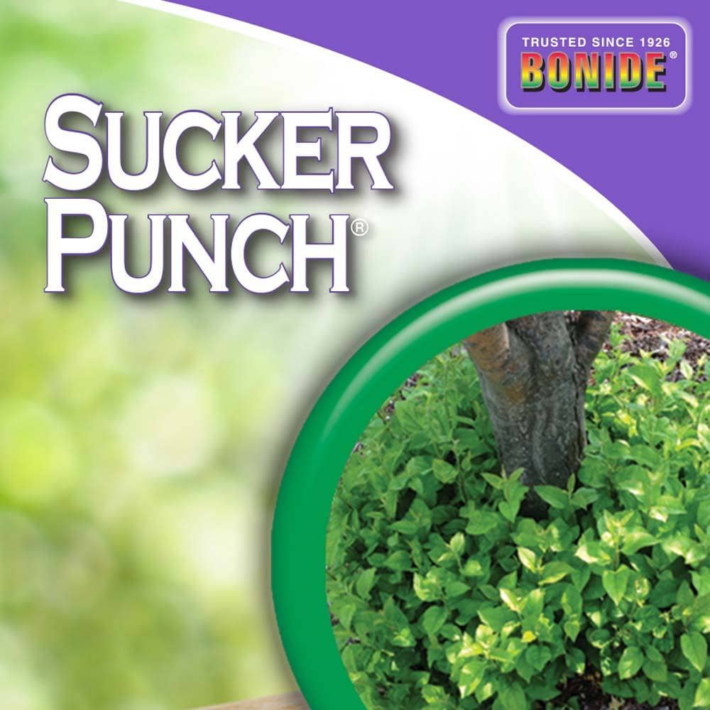 Bonide Sucker Punch Concentrate 8 oz. | Gilford Hardware