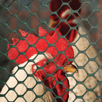 Thumbnail for Tenax Plastic Hexagonal Poultry Fence 36