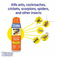 Thumbnail for TERRO Ant Killer Aerosol 16 oz. | Gilford Hardware