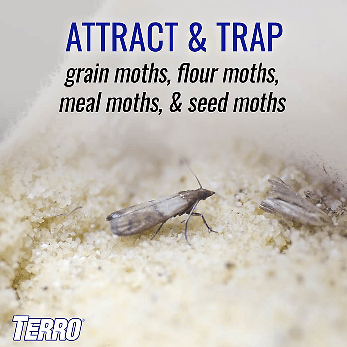 TERRO Moth Glue Trap 2-Pack. | Gilford Hardware
