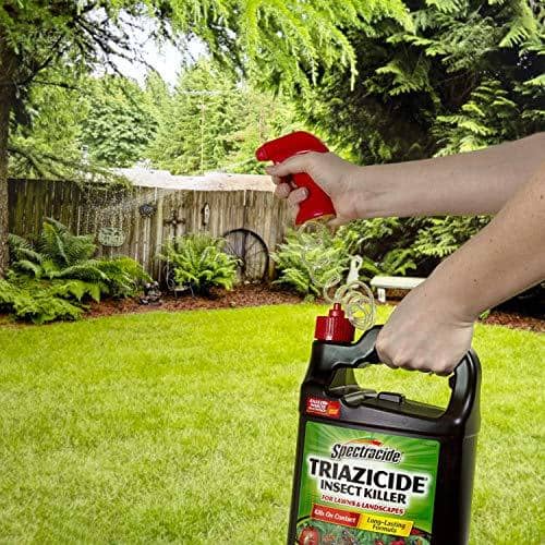 Spectracide Triazicide Soil & Turf Insect Killer | Gilford Hardware & Outdoor Power Equipment