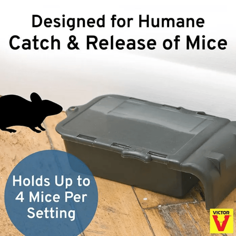 Victor Multiple Catch Mouse Trap | Gilford Hardware