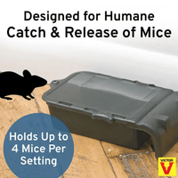 Thumbnail for Victor Multiple Catch Mouse Trap | Gilford Hardware