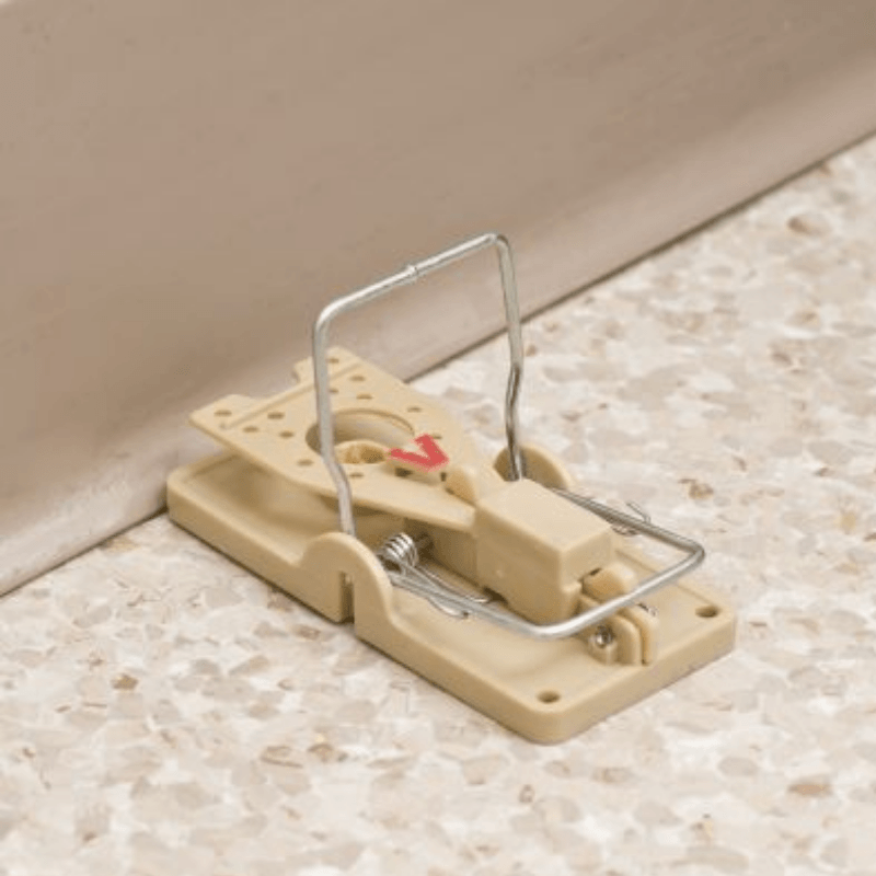 Victor Power-Kill Mouse Trap 2-Pack.