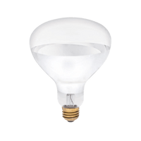Thumbnail for Westinghouse 125 watt R40 Heat Lamp Incandescent Light Bulb 2-Pack | Gilford Hardware