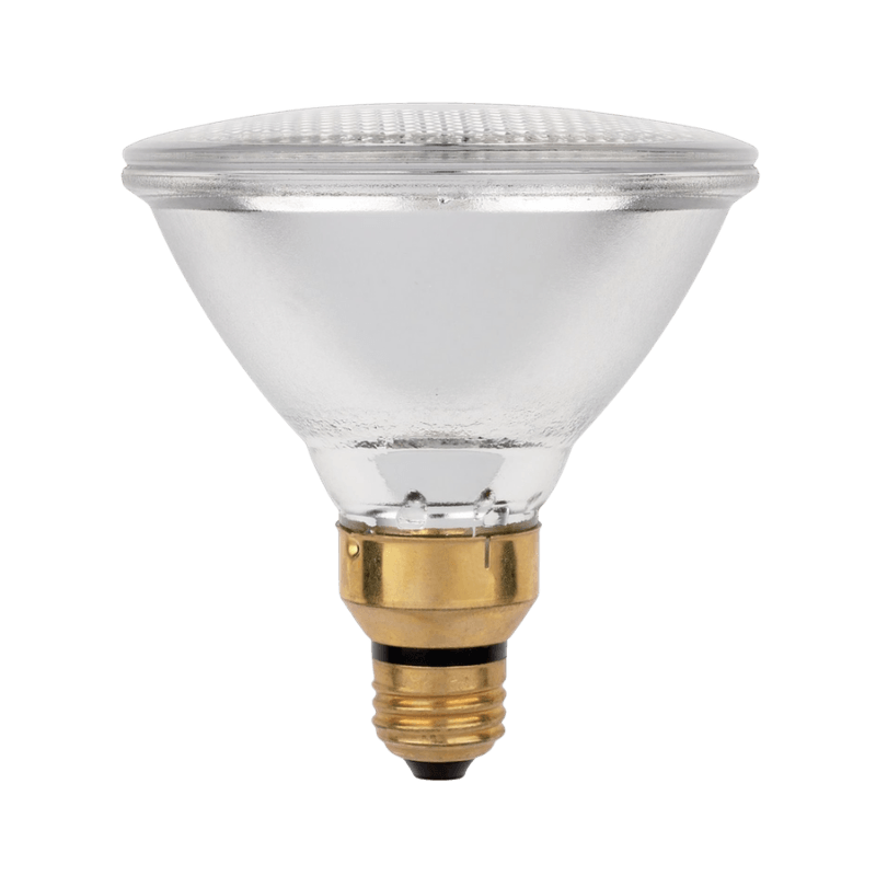 Westinghouse Eco 60 watt PAR38 Floodlight Halogen Bulb 1,070 lumens | LED Light Bulbs | Gilford Hardware