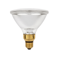 Thumbnail for Westinghouse Halogen Floodlight 38W |  | Gilford Hardware & Outdoor Power Equipment