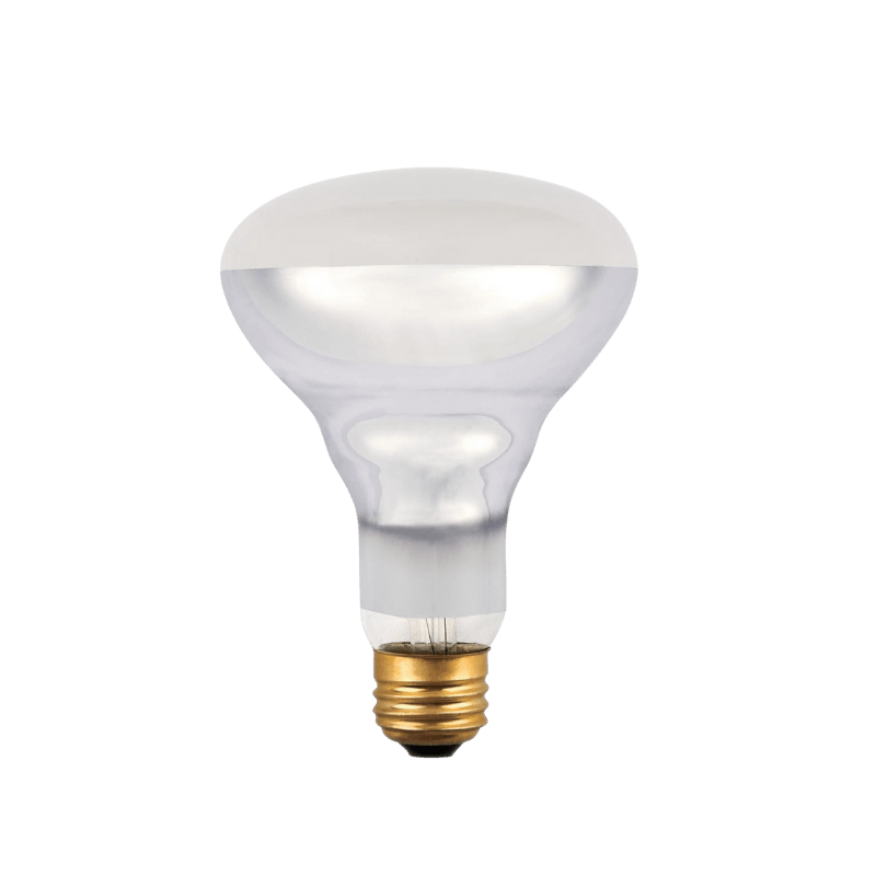 Westinghouse 65 watt BR30 Floodlight Incandescent Bulb E26 (Medium) White | Incandescent Light Bulbs | Gilford Hardware & Outdoor Power Equipment