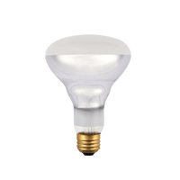 Thumbnail for Westinghouse 65 watt BR30 Floodlight Incandescent Bulb E26 (Medium) White | Incandescent Light Bulbs | Gilford Hardware & Outdoor Power Equipment