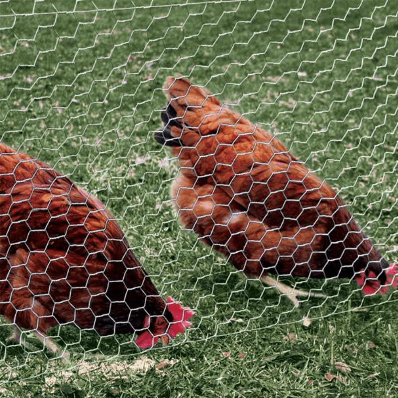 Yardgard Poultry Net 1" Mesh 48" x 25' | Gilford Hardware